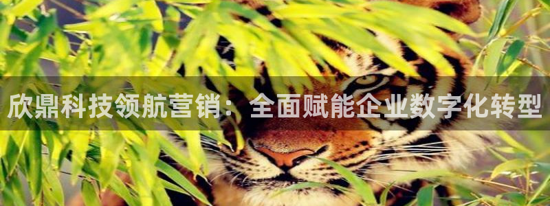 金年会app登录官网