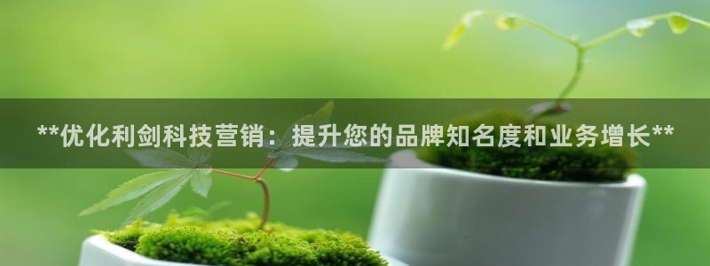 金年会app官网登录