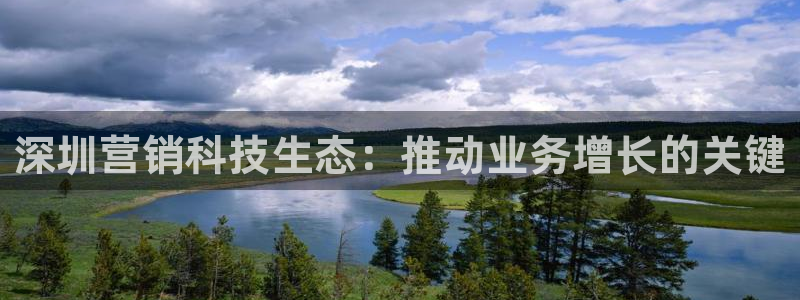 金年会体育全站网站登录