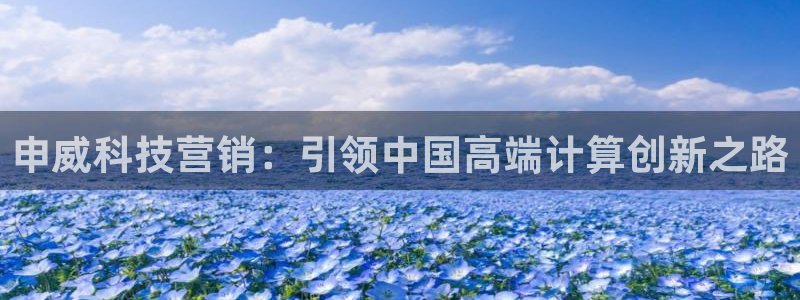 金年会体育平台官网app