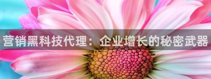金年会官方在线入口网站
