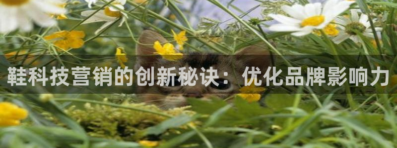 金年会是不是黑平台