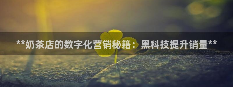 今年会金年会