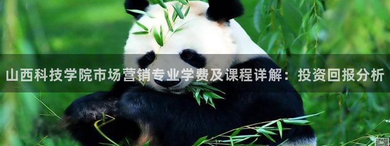 金年会电子游戏app官方入口网站