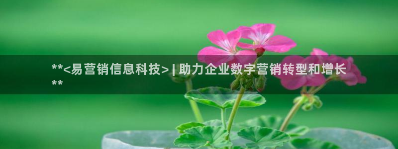 金年会赌博官网