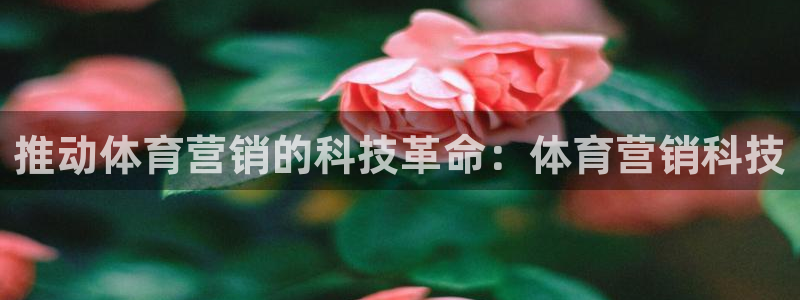 金年会pg麻将胡了