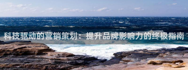 金年会官方入口app