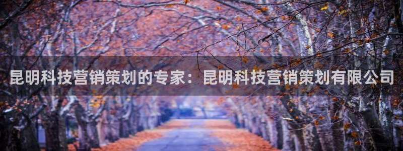 金年会app官网免费下载
