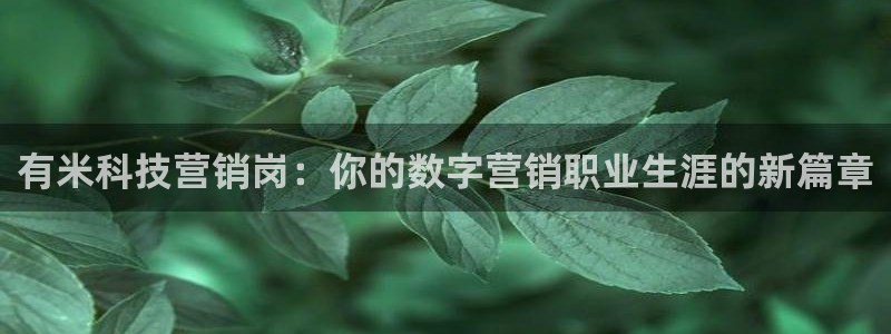 金年会下载官方网站