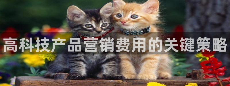 金年会网站入口官网