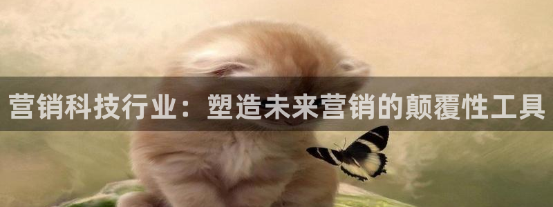 金年会金字招牌至上用了多少钱?
