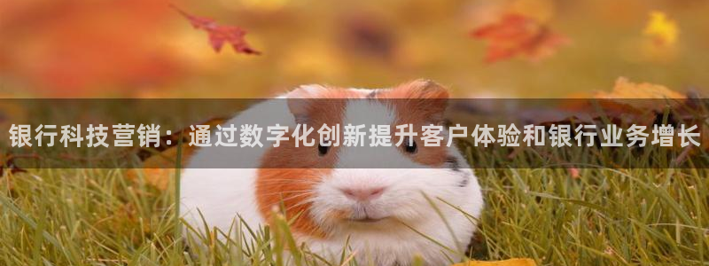 金年会体育买球
