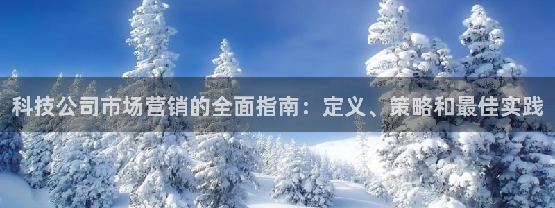 金年会金字招牌