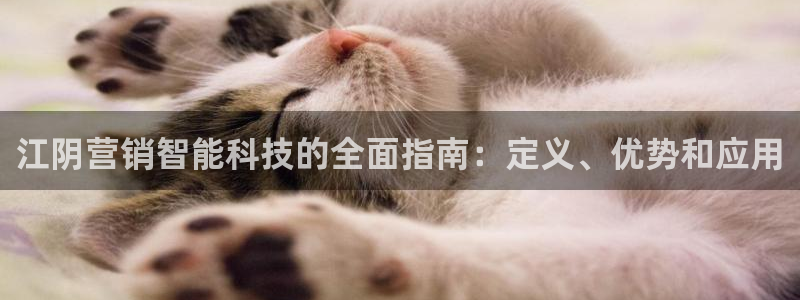金年会app官方网站入口