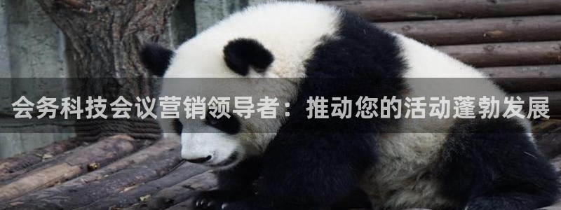 金年会在线入口登陆