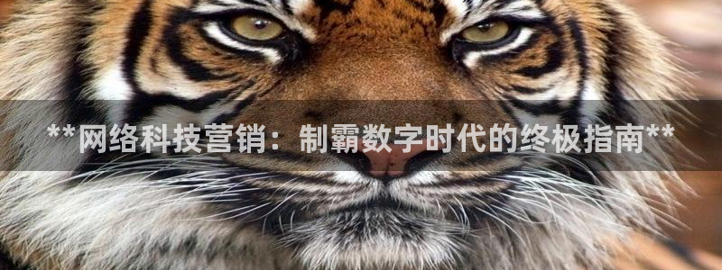 金年会体育app下载官网安卓版