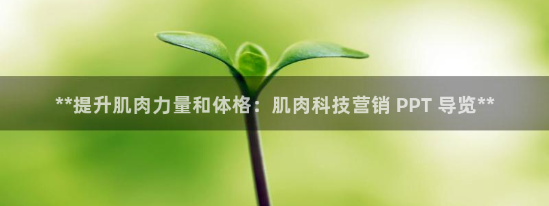 金年会金字招牌诚信至上龙年
