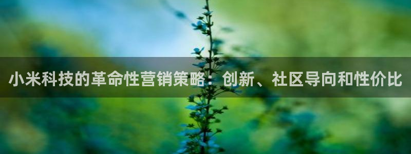 金年会体育手机app下载官网最新版