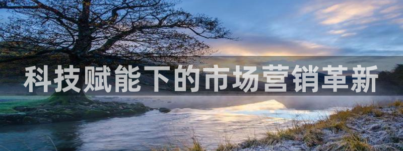 今年会金年会