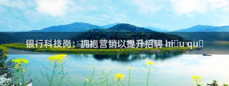 金年会网站洗黑钱