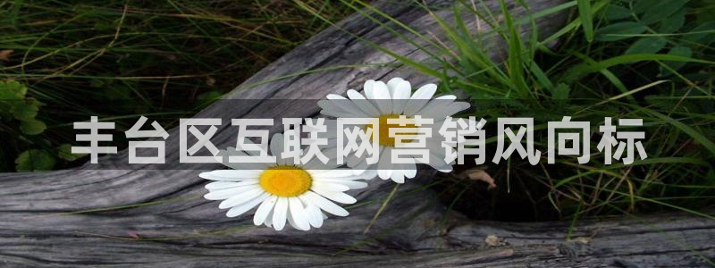 金年会网站多少