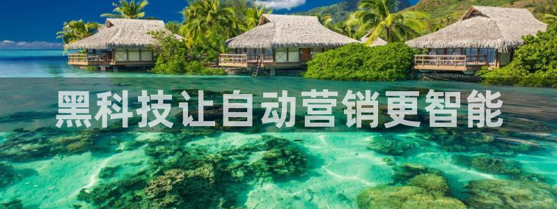 金年会体育app网页版入口