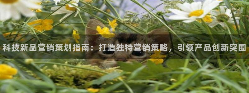 金年会官方在线入口网址是什么