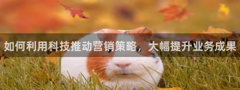 金年会体育好不好
