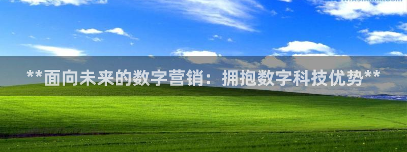 金年会手机网页版