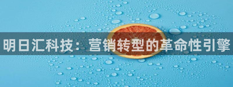 金年会官网登入