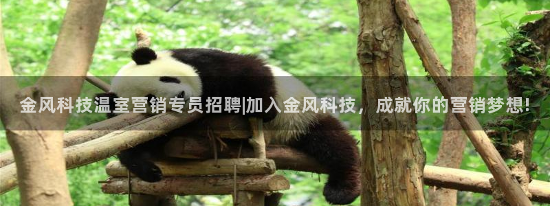 金年会电子游