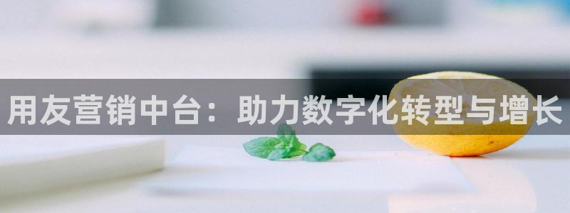 金年会金字招牌至上用了多少钱?