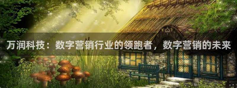 金年会体育app最新官网