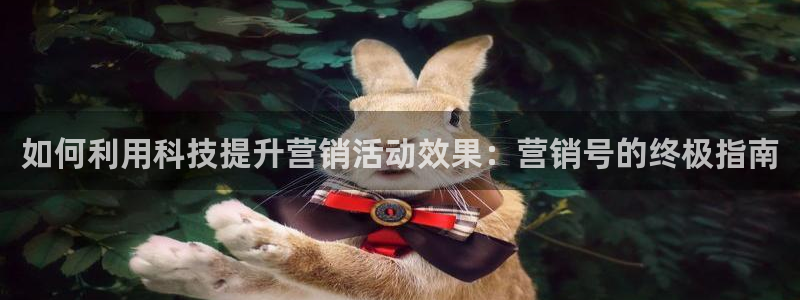 金年会网赌靠普吗
