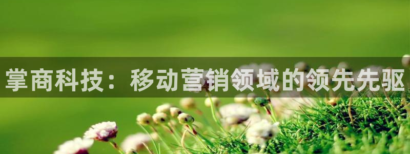 金年会体育平台官网app