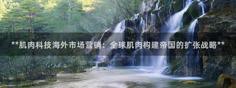 金年会体育网址是多少