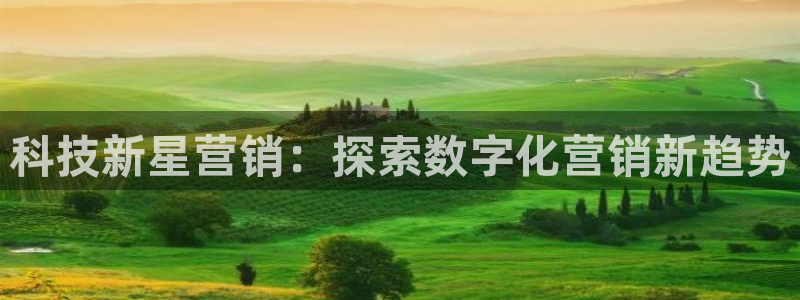 金年会体育app网页版入口
