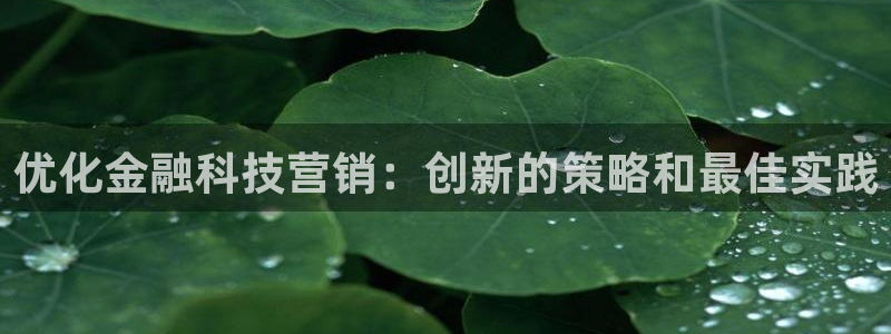金年会体育官网app