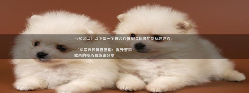 金年会官方体育频道直播