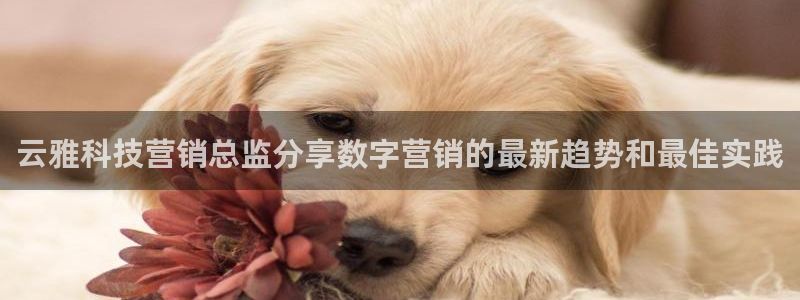 金年会平台怎么样