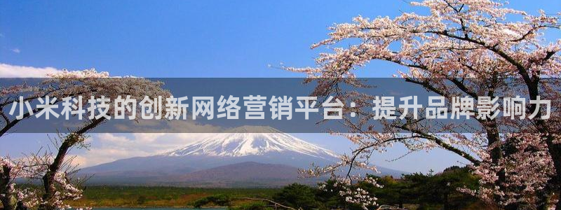 金年会赌博软件