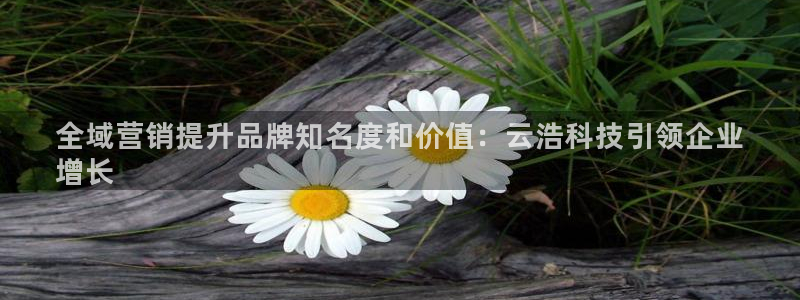 金年会app平台有人玩过吗