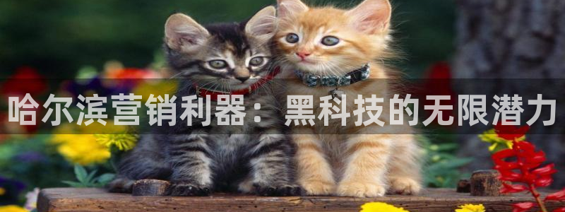 金年会体育app最新官网入口网址是什么