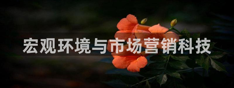 金年会网站出款被要求认证怎么办?
