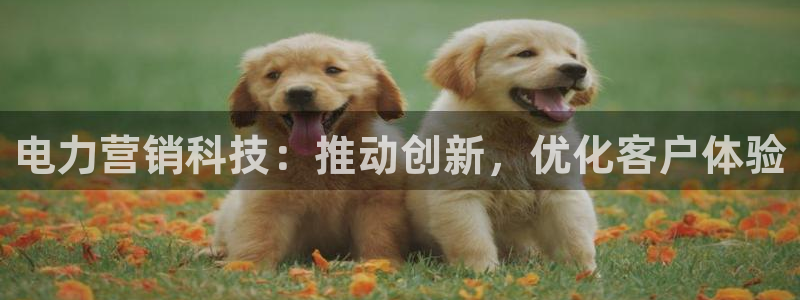 金年会pg麻将胡了几张牌