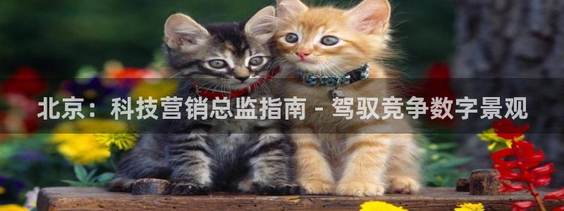 金年会电子app官方下载