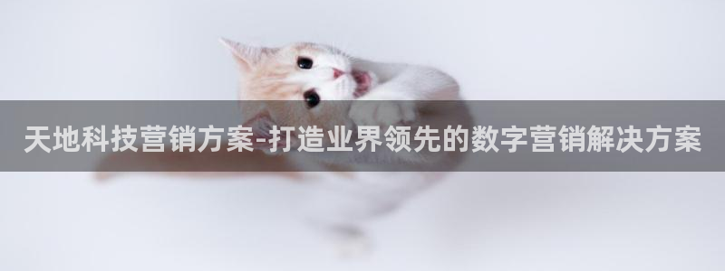 金年会体育登陆