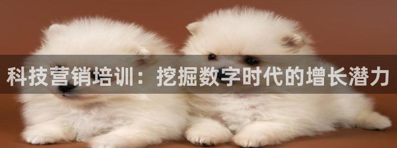 金年会体育在线登陆入口