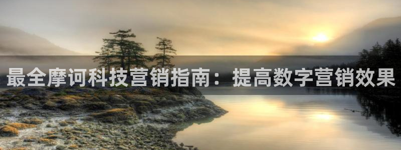 金年会电子官网下载