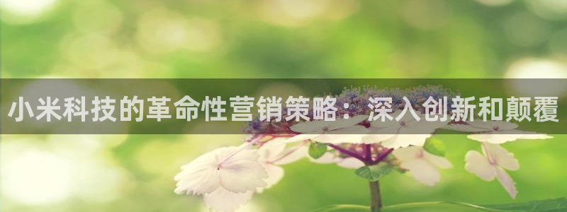 金年会网站入口官网